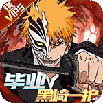 龙之守护-送毕业黑崎一护光环助手